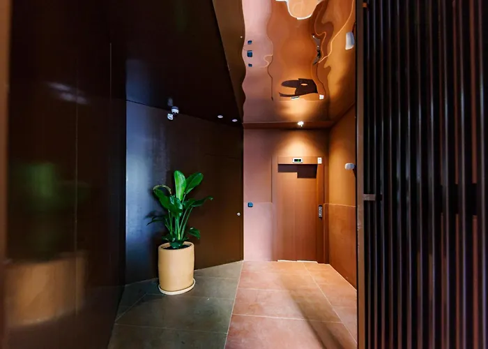 Bravissimo Vivaldi 3c, Monthly Girona